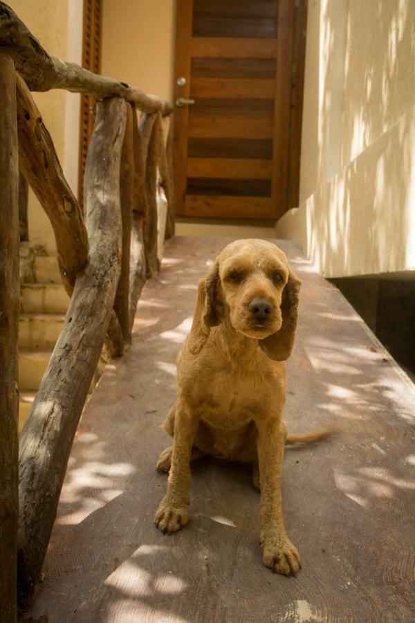 Bungalow Be La Kin โกซูเมล ภายนอก รูปภาพ
